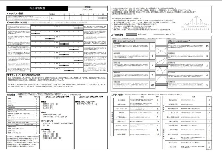 ミイダスコンピテンシー診断結果